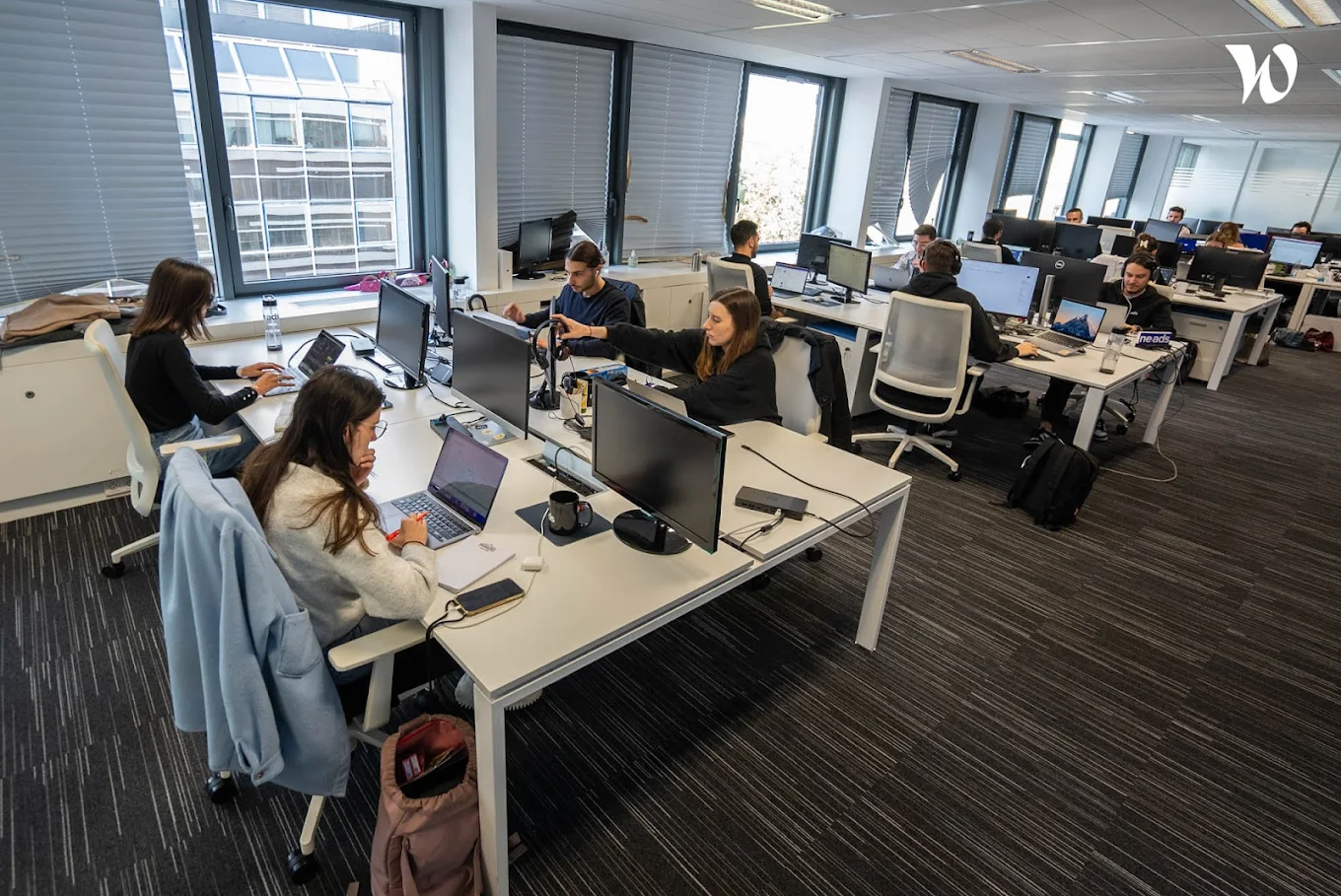 Avis Agence Neads Paris